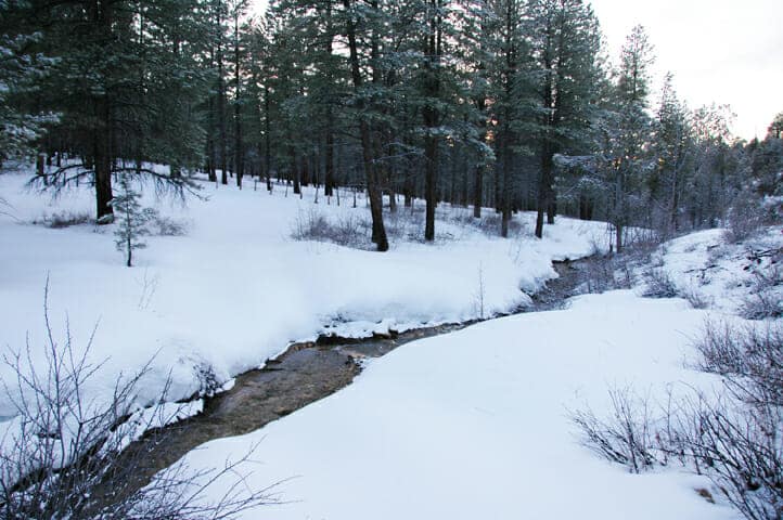 A snowy landscape with a meandering stream and tall evergreen trees.